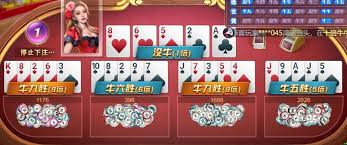 开云GROUP｜全球赛事数据与智能体育平台